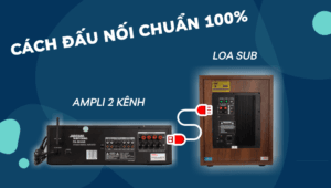 Cách phối ghép loa sub điện với amply trong hệ thống gia đình| Audiohifi 22