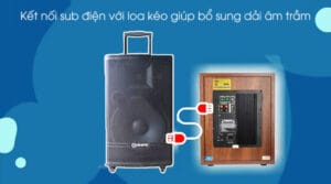 Loa sub điện có thể kết hợp với loa treble như thế nào để tạo âm thanh hoàn hảo?| Audiohifi 10