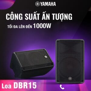 Loa karaoke công suất lớn cho phòng hát chuyên nghiệp| Audiohifi 33